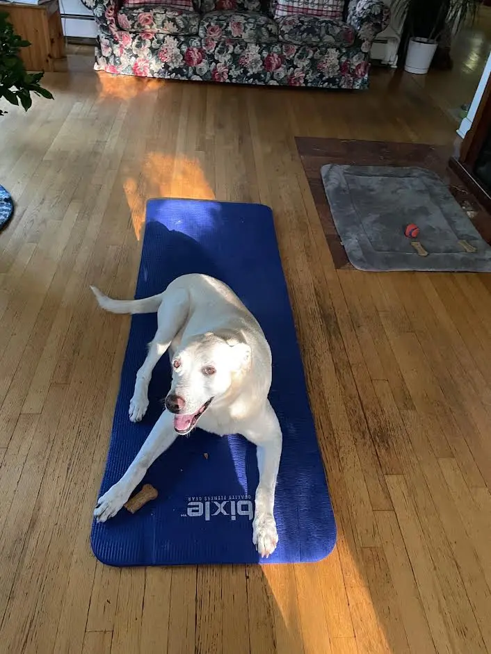 January 2026 and New Beginnings