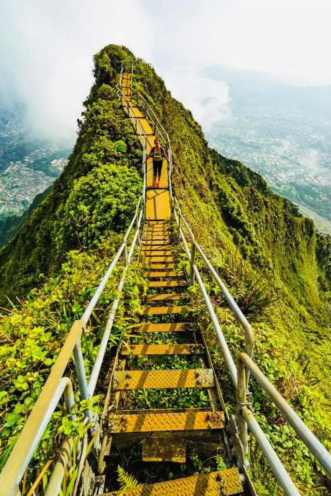 The Road is Long, the Climb is High 