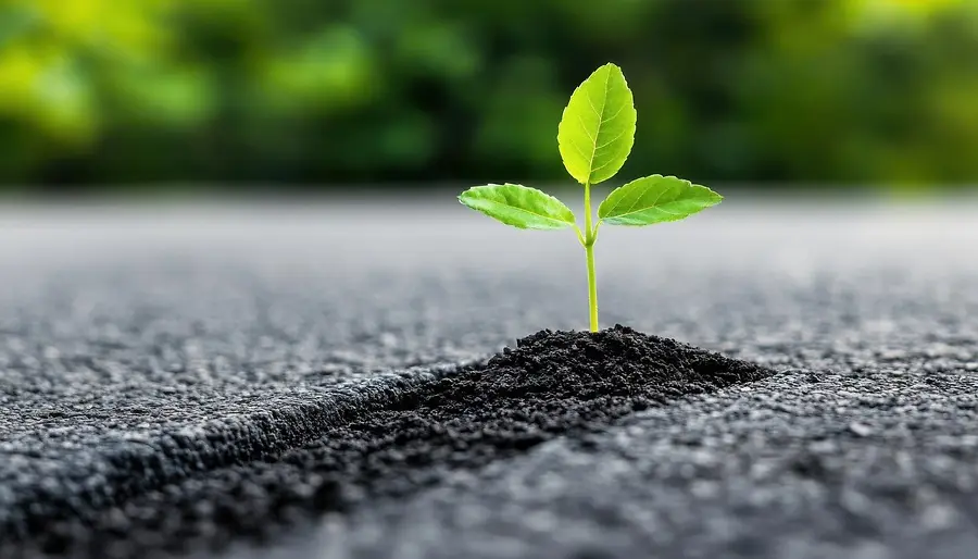 Boiled Frog or Adaptive Leader? Which Will You Be in 2026?