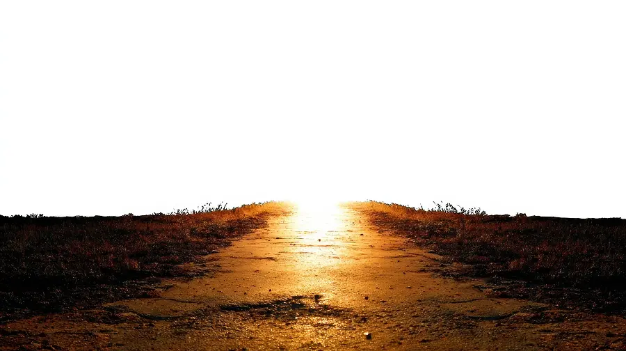 Leading with Purpose: 