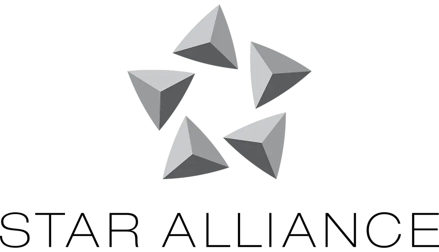 What are Airline Alliances?