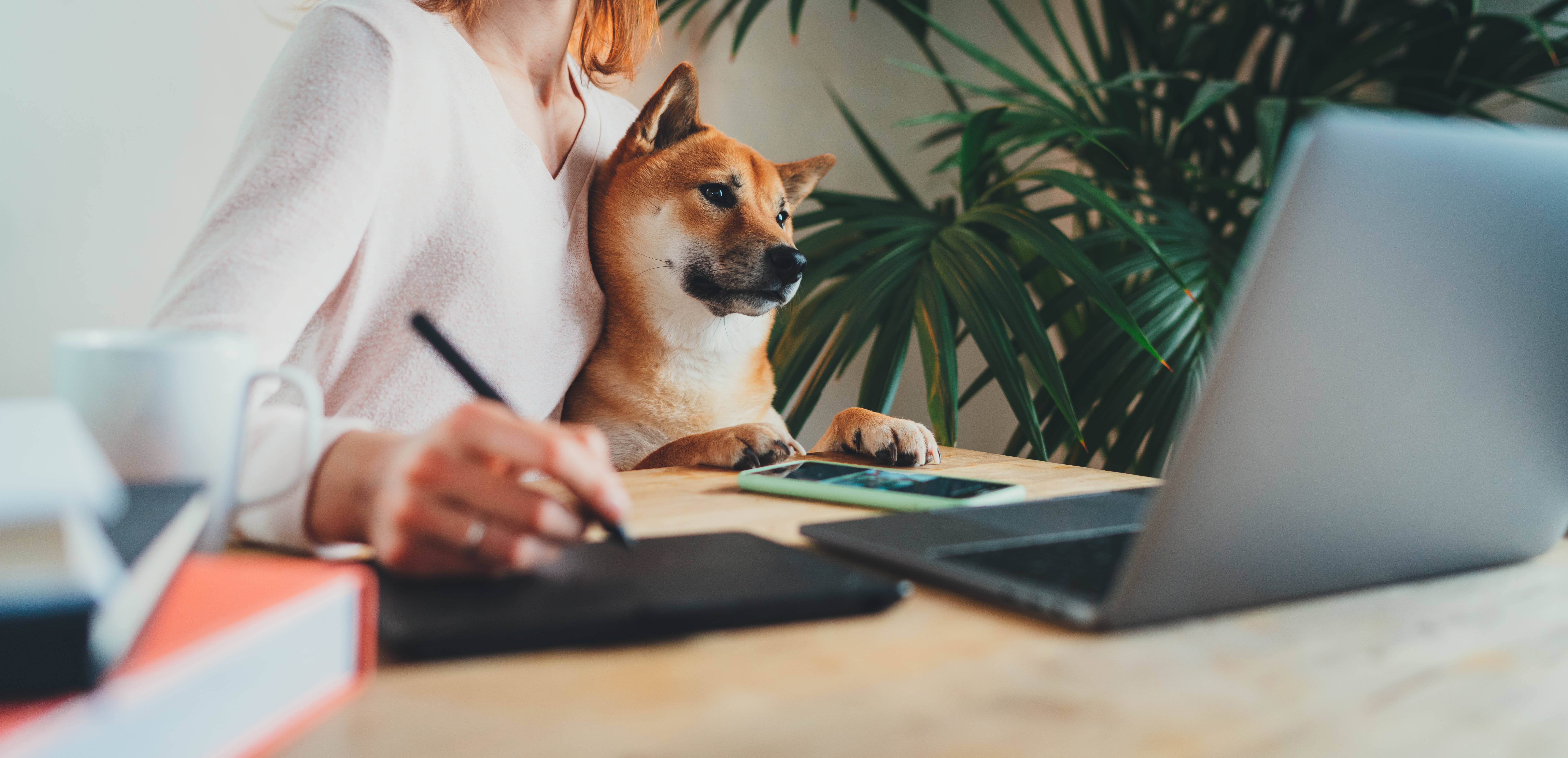 Working From Home