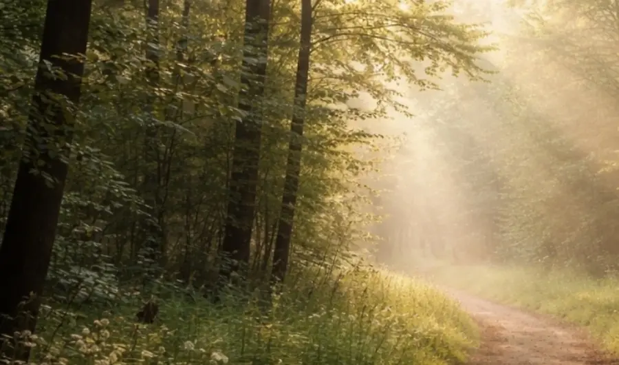 A One-Page Manifesto for Living & Leading with Intention