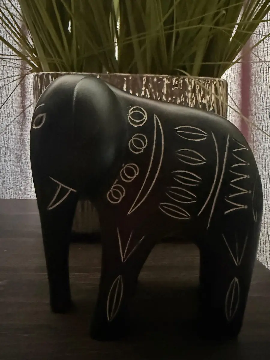 The Elephant in the Room - Are you living in fight or flight?