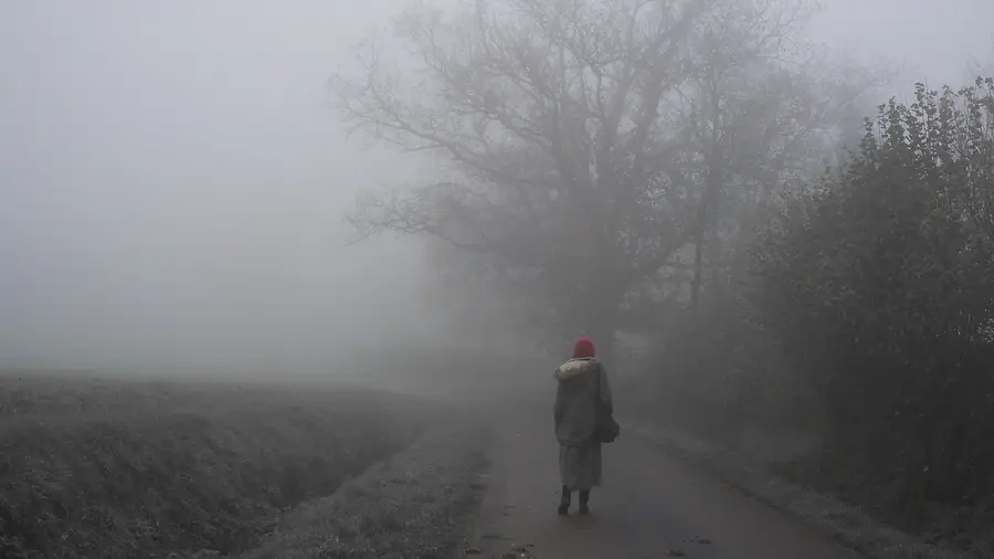 Navigating the Fog: Why "Wait and See" is a Death Sentence for the Modern Woman