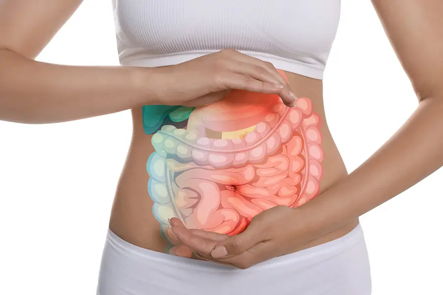 Gut Health and Autoimmunity