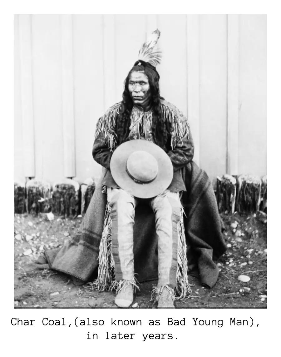 Divine Feminine Pretty Wolverine Woman's Epic Journey