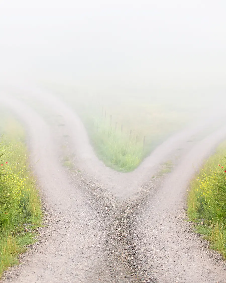 The New Great Divide in Leadership: Development vs. Navigation