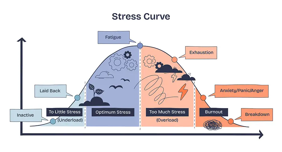 The Stress Management Blueprint