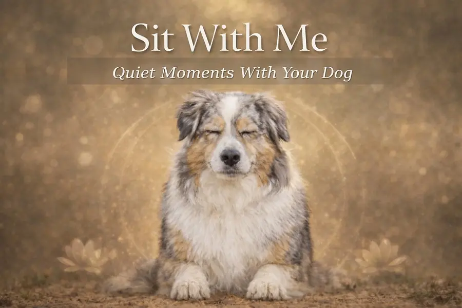 Sit With Me: Meditations to Do With Your Dog