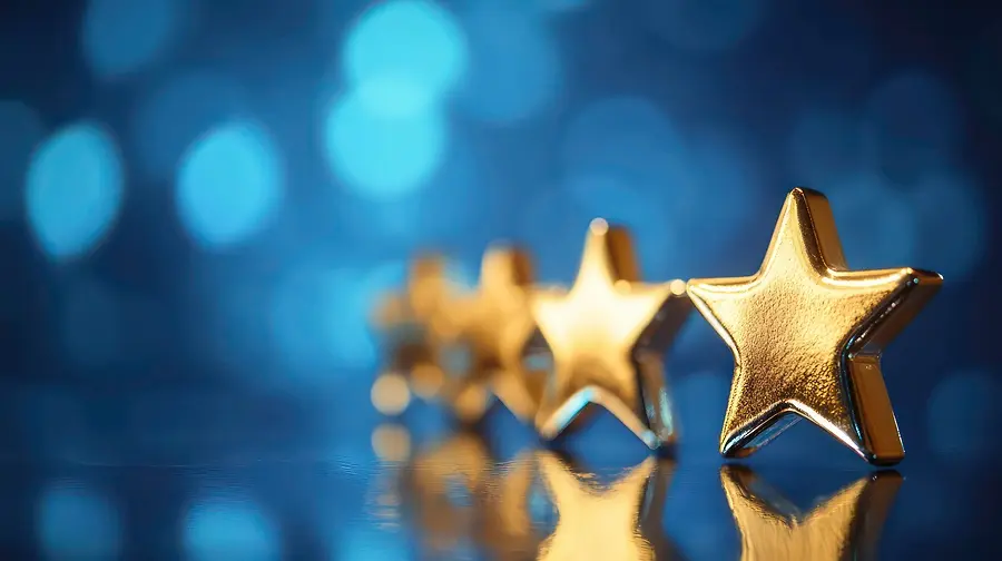 The Inspection of Truth and the Proof of Excellence