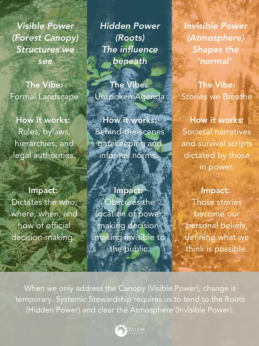 The Architect's Blueprint: Growing through Chaos