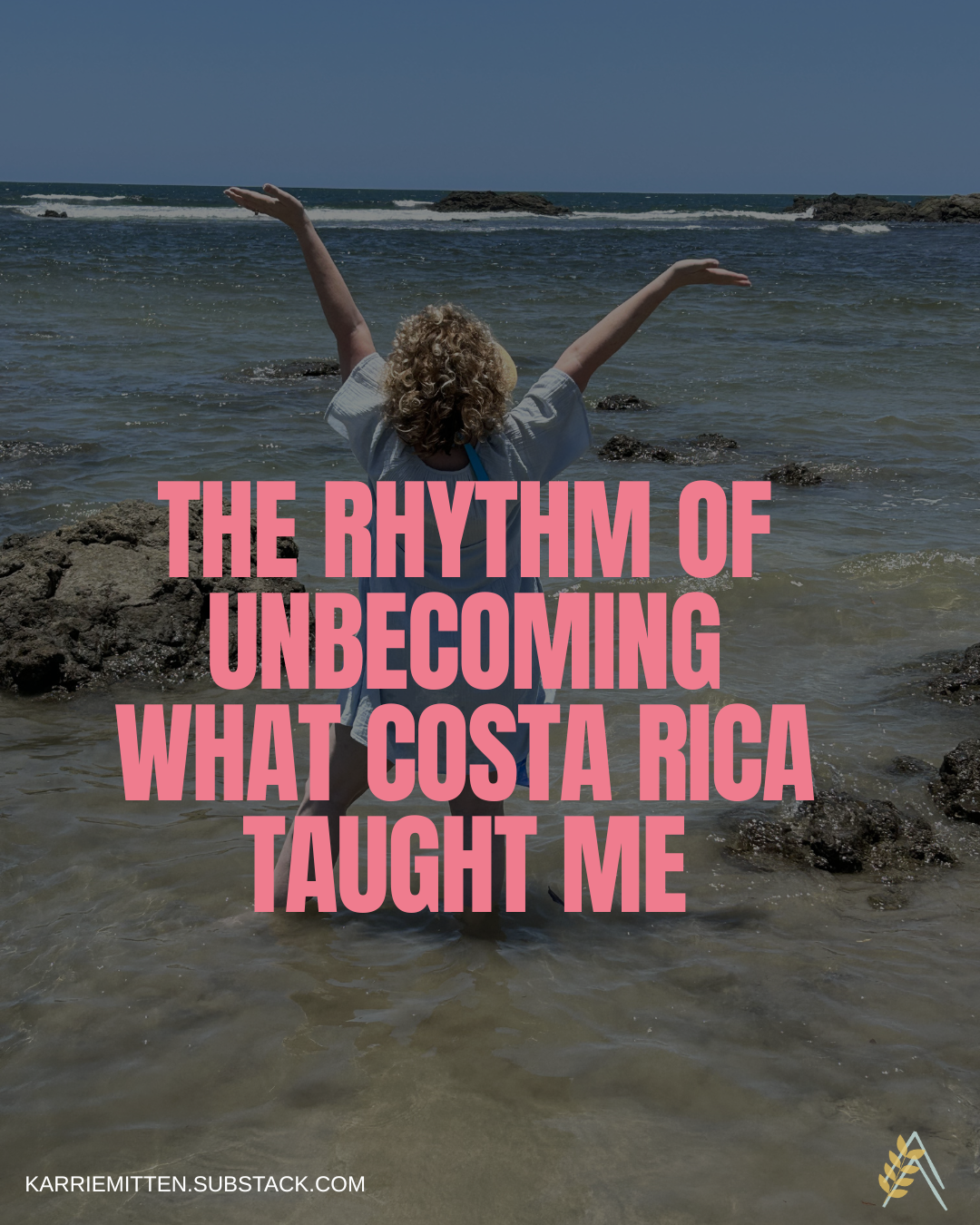 Medical Equipment