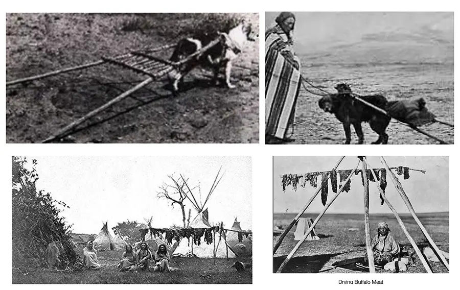Before the Elk Dogs 