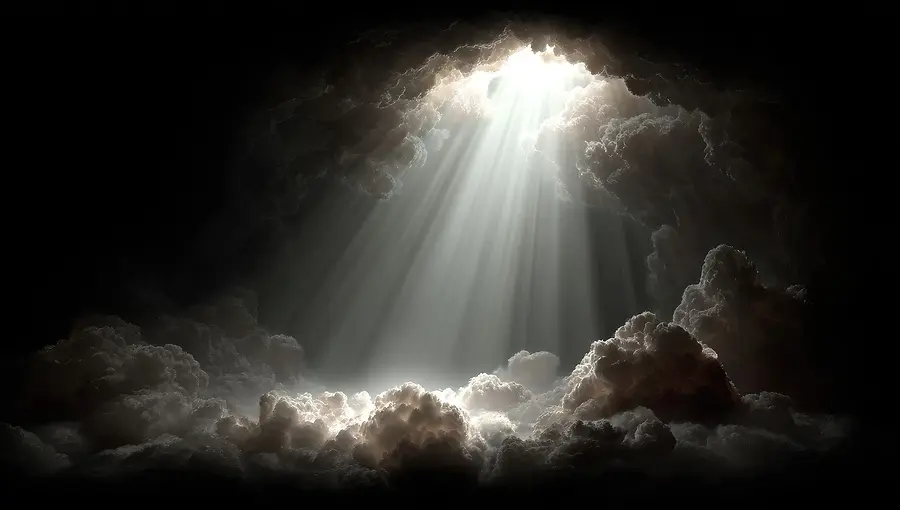 Turn On The Light 