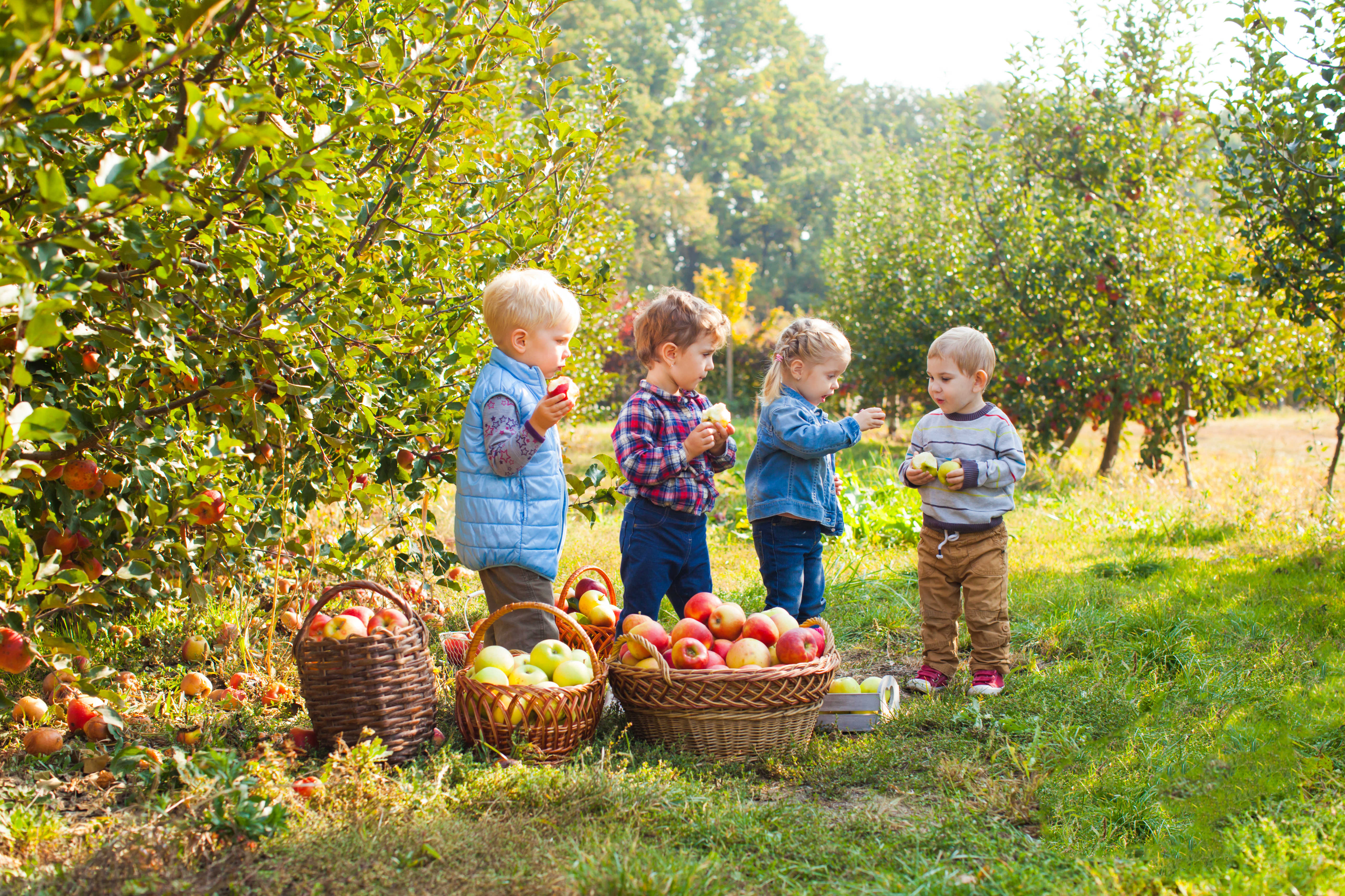 Getting Unstuck:  What a Muddy Farm Day Taught Me About Legacy, Family and Clarity