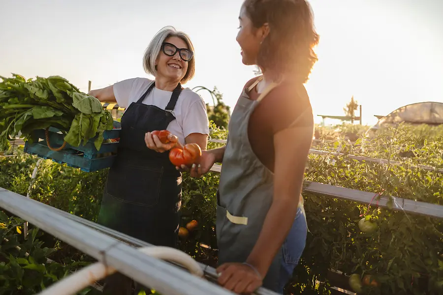 The Invisible Generation: Why Employers Are Failing Women Over 50