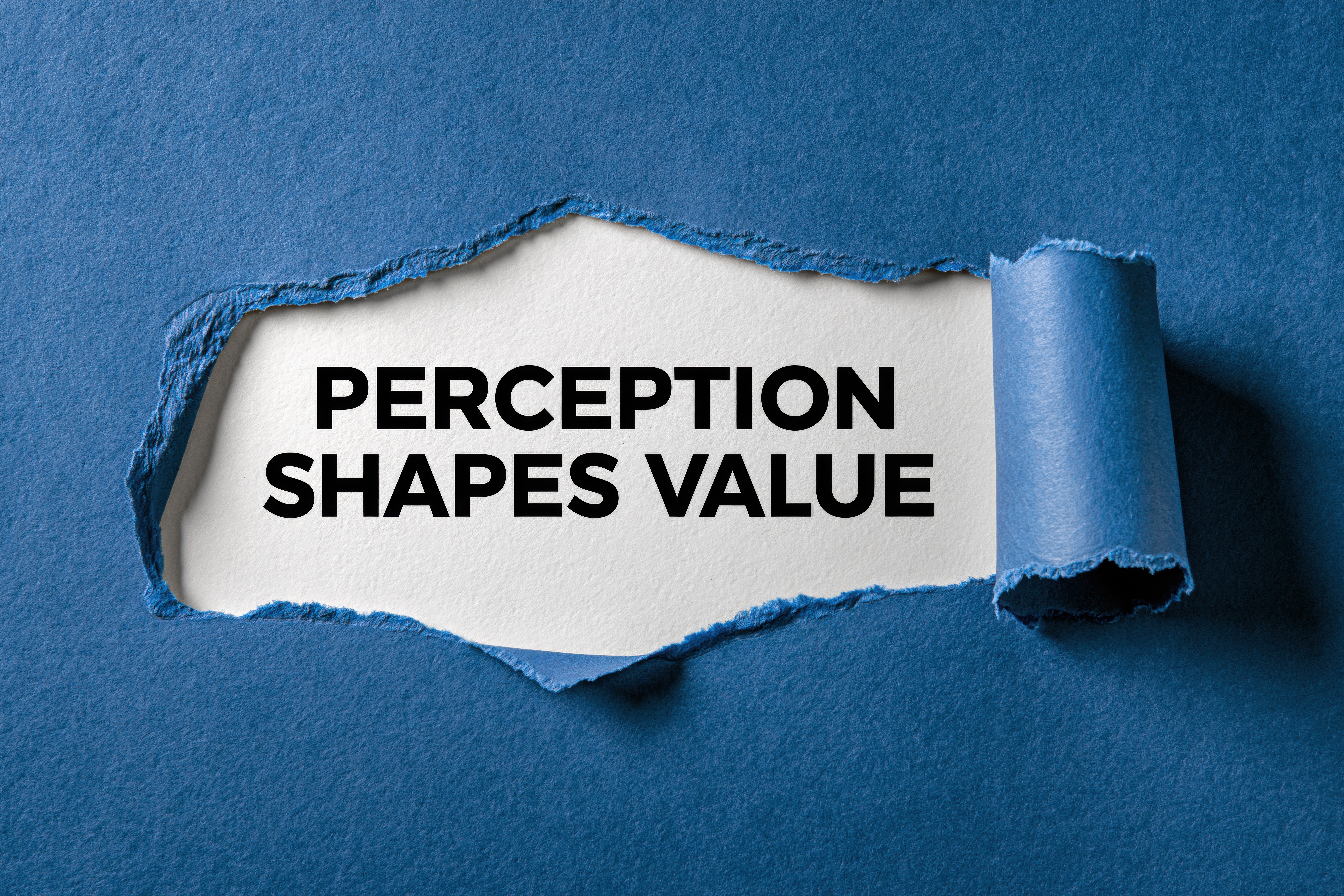 Hidden Bias Series - Confirmation Bias in Disguise
