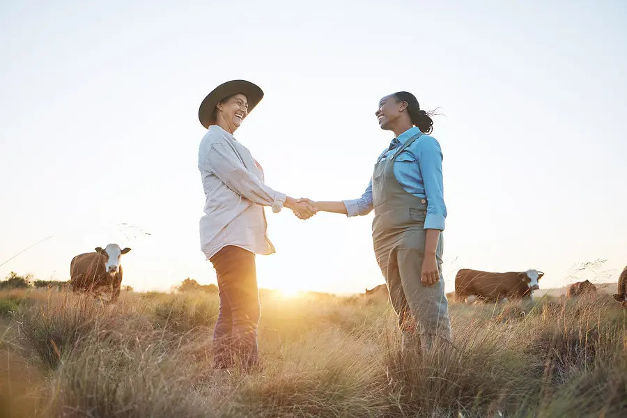 Cultivating Authentic Connections