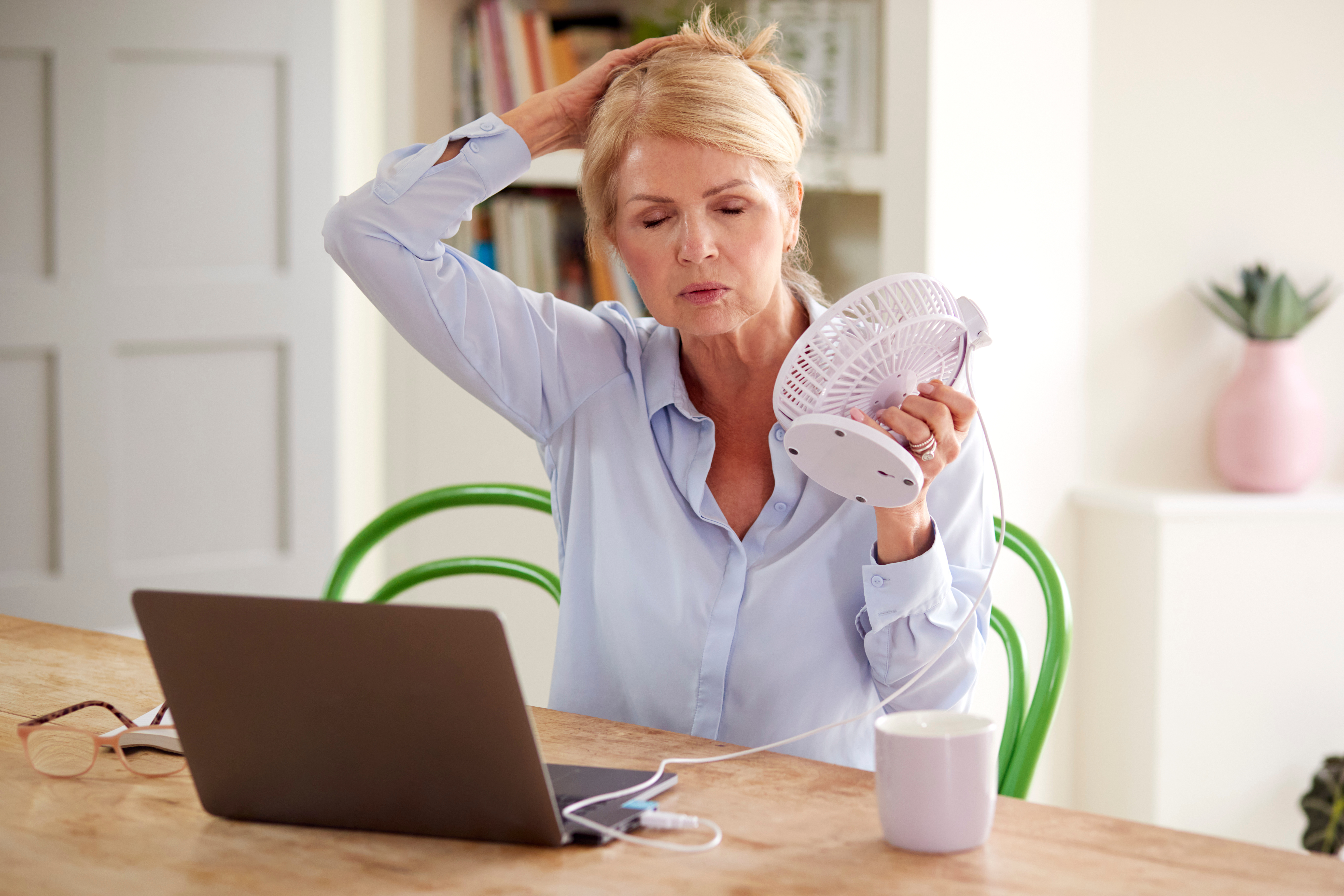 Menopause 101: Mandatory Workplace Webinar