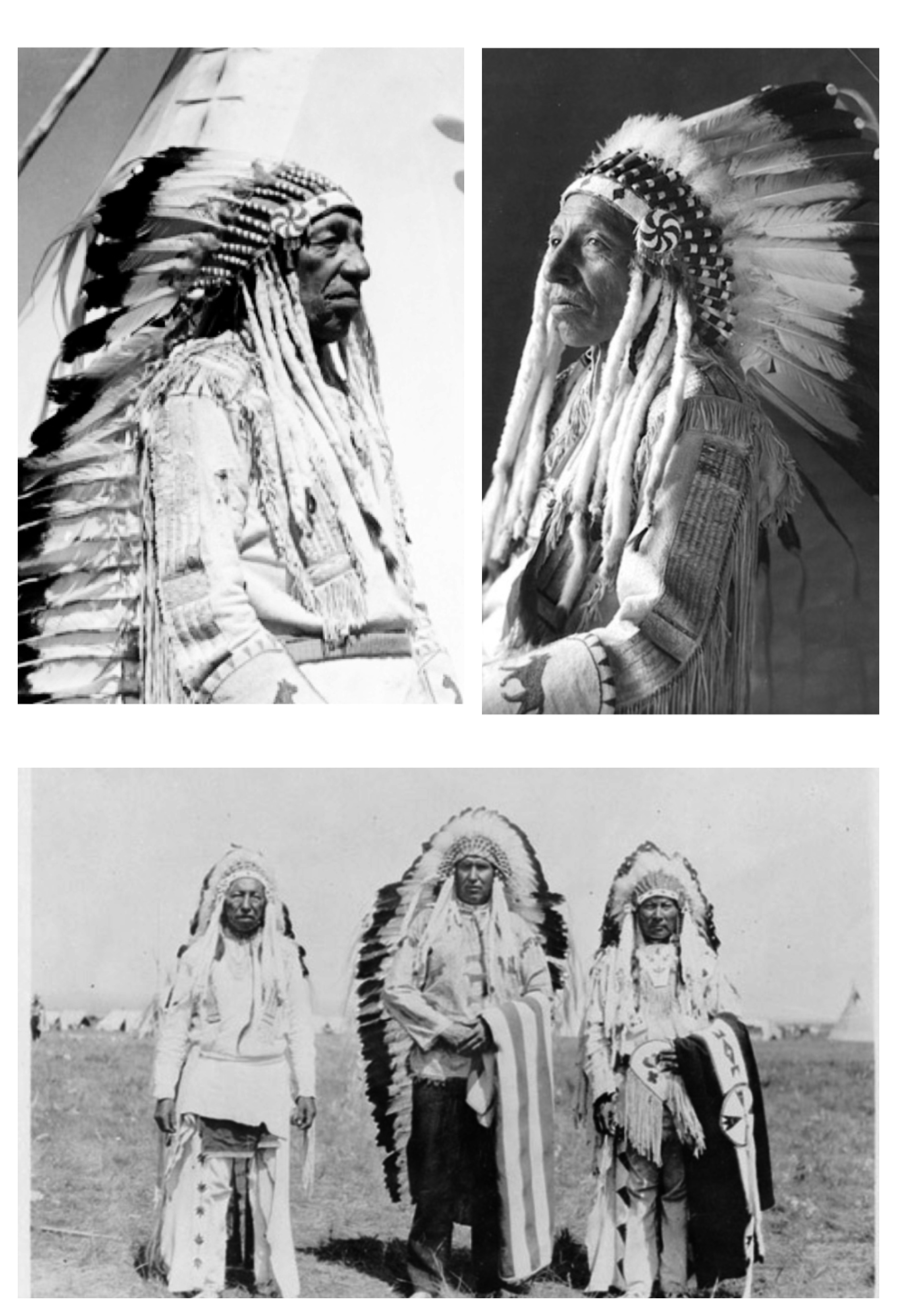 Chief Shot-Both-Sides Saves the Reserve