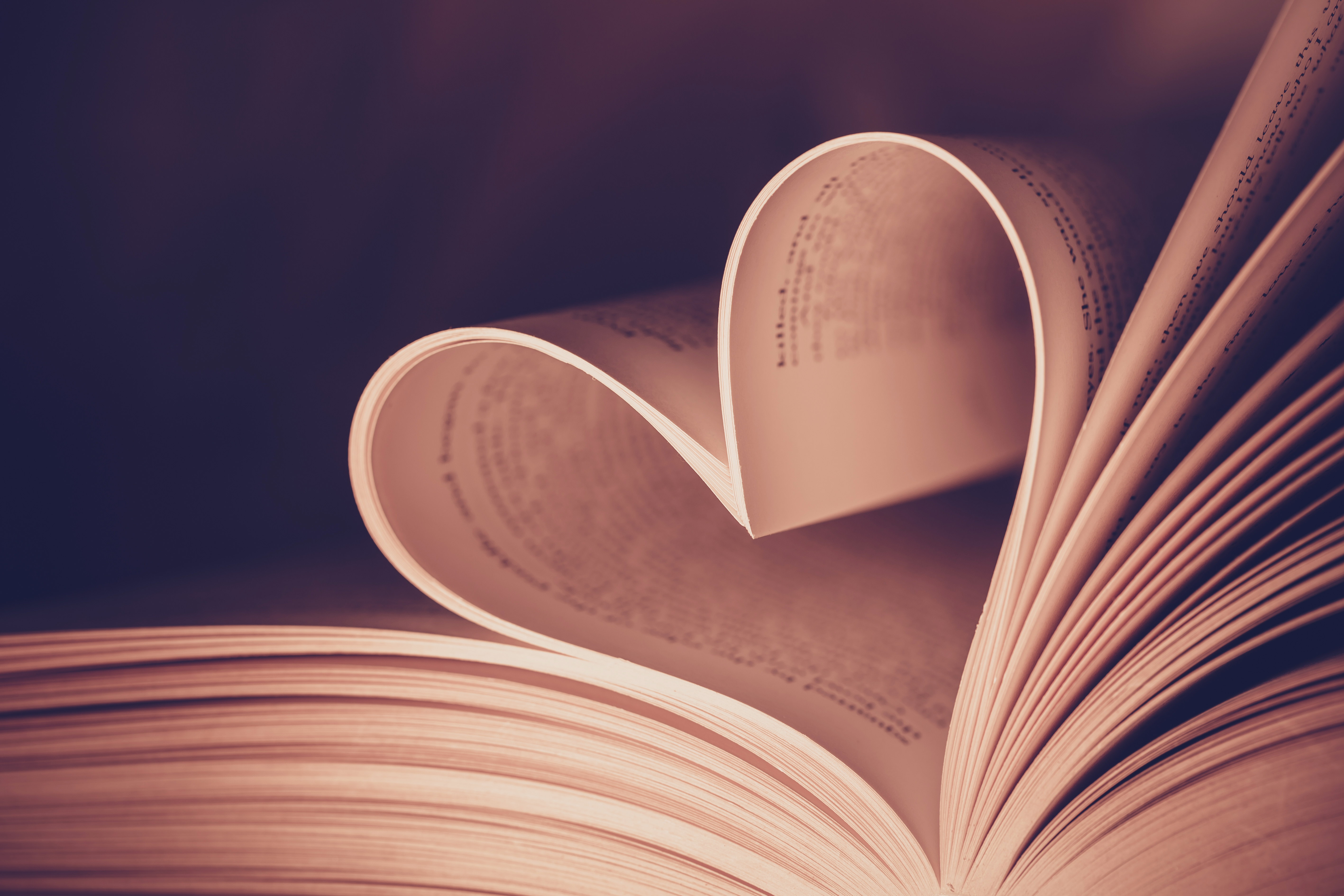 To Publish or Not to Publish your Book Idea