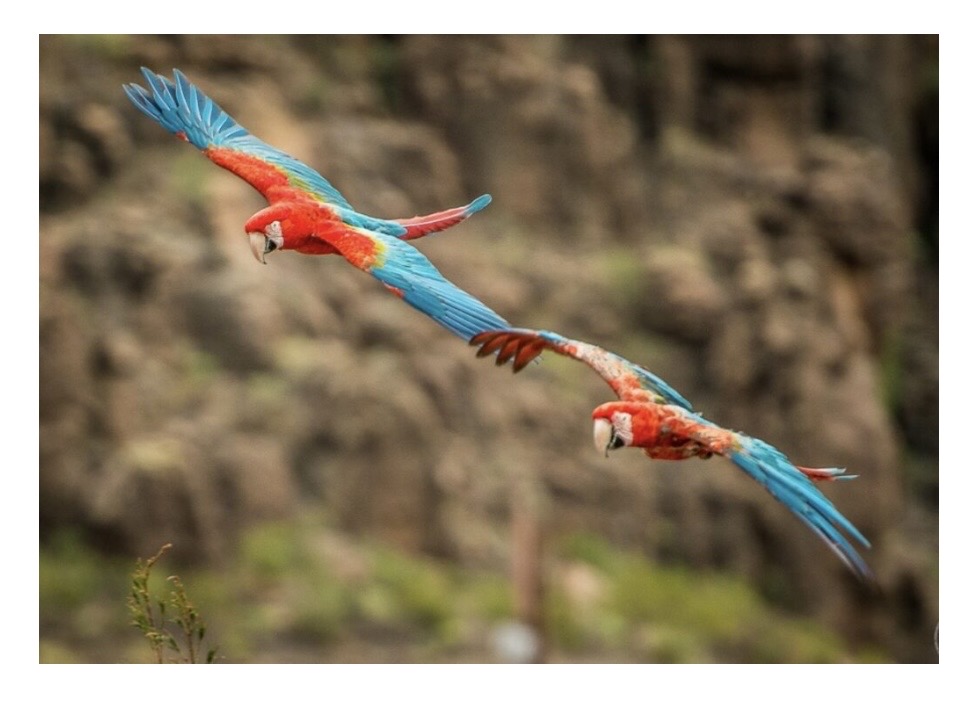 Take Flight 