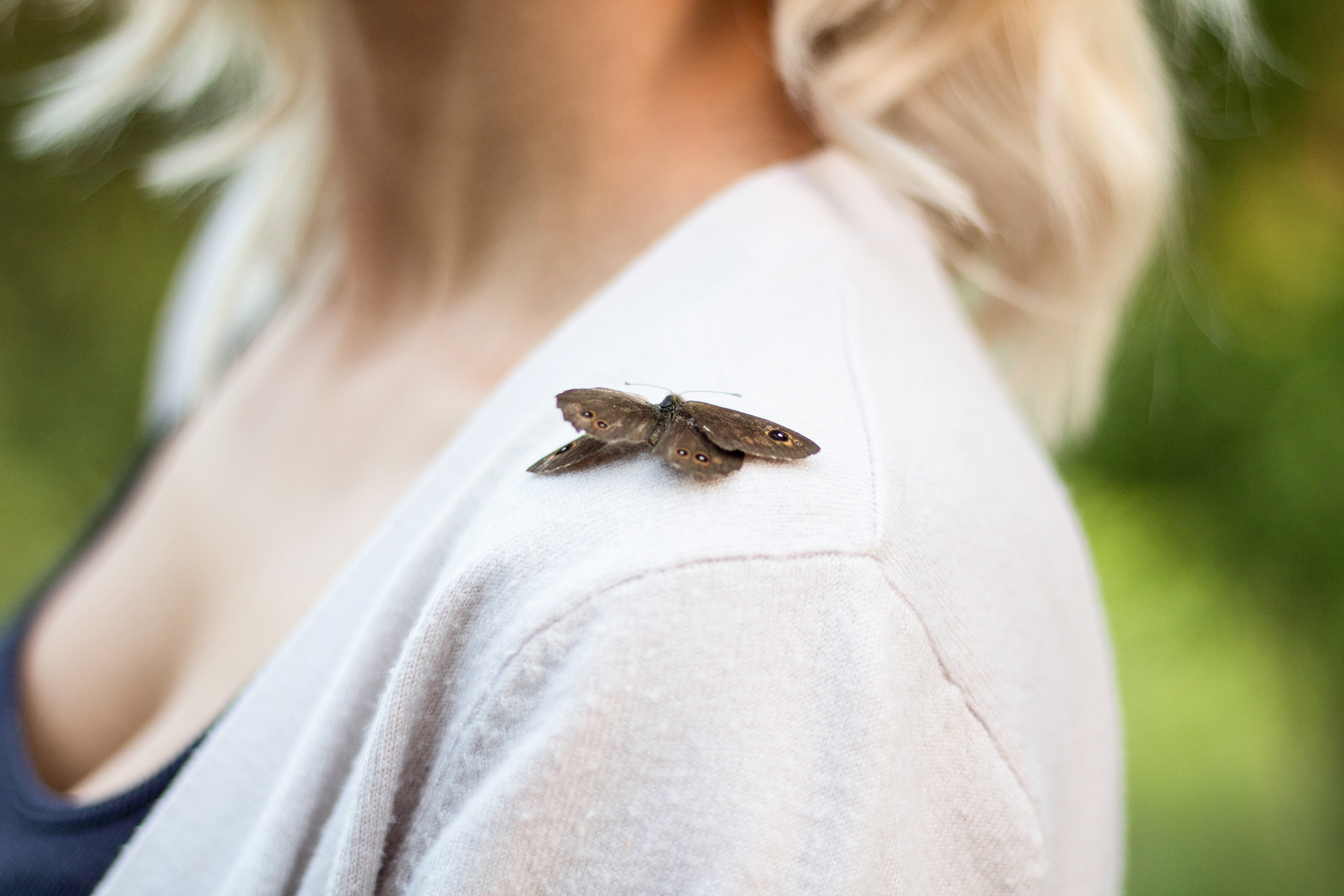 What Pollinators Can Teach Us About Self-Awareness 