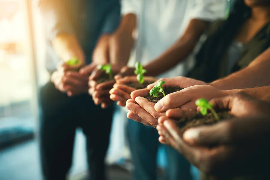 The Anatomy of a Multi-Unit Leader: Balancing Heart, Business, and the Power of Adaptability