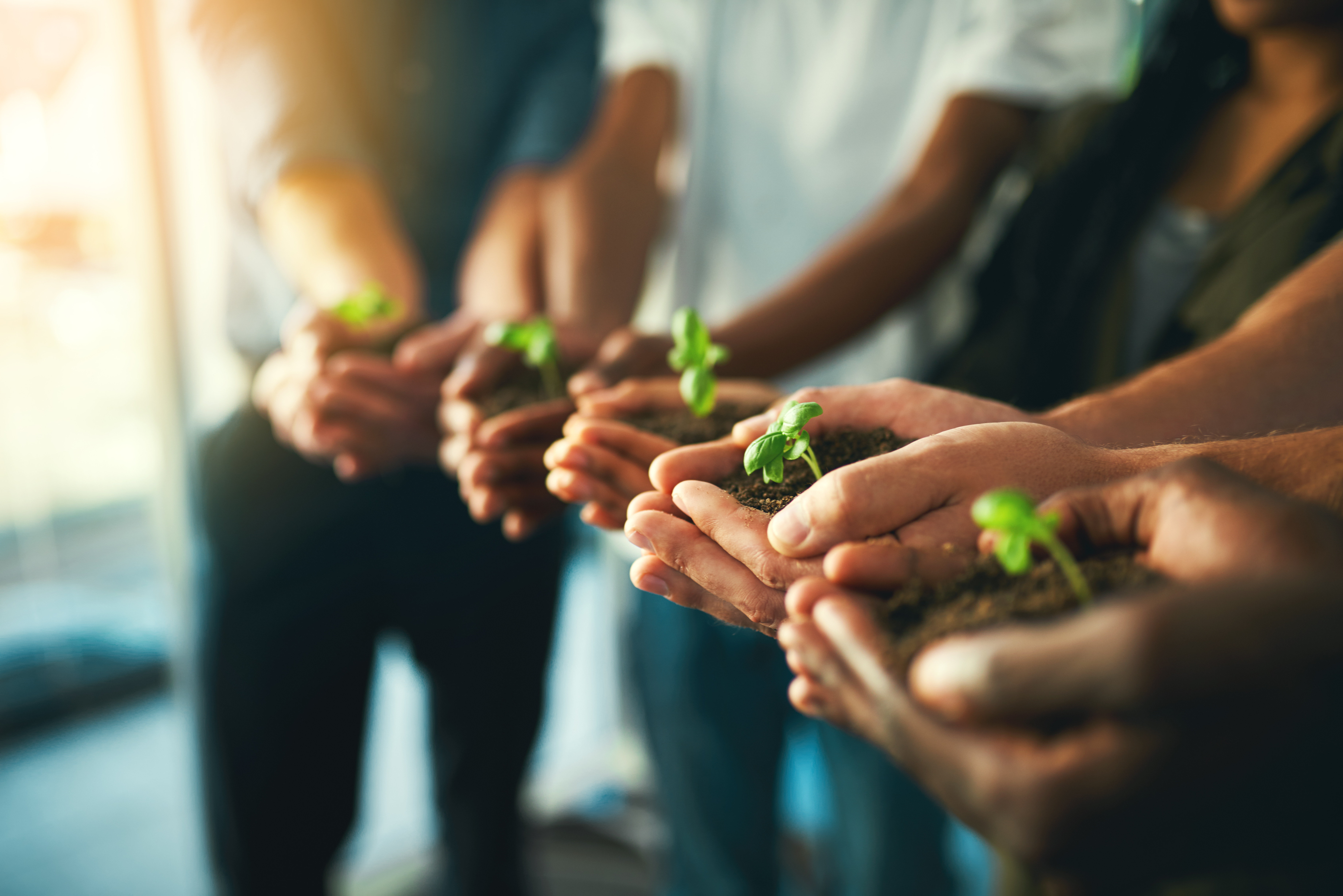 The Anatomy of a Multi-Unit Leader: Balancing Heart, Business, and the Power of Adaptability
