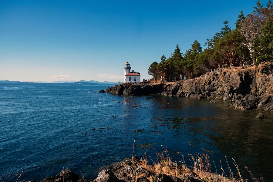 Where Serendipity Meets Preparation: My Journey to Friday Harbor