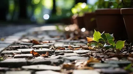 Introspective Lesson: Stillness