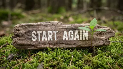 The Courage to Begin Again