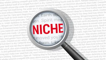 You are the niche