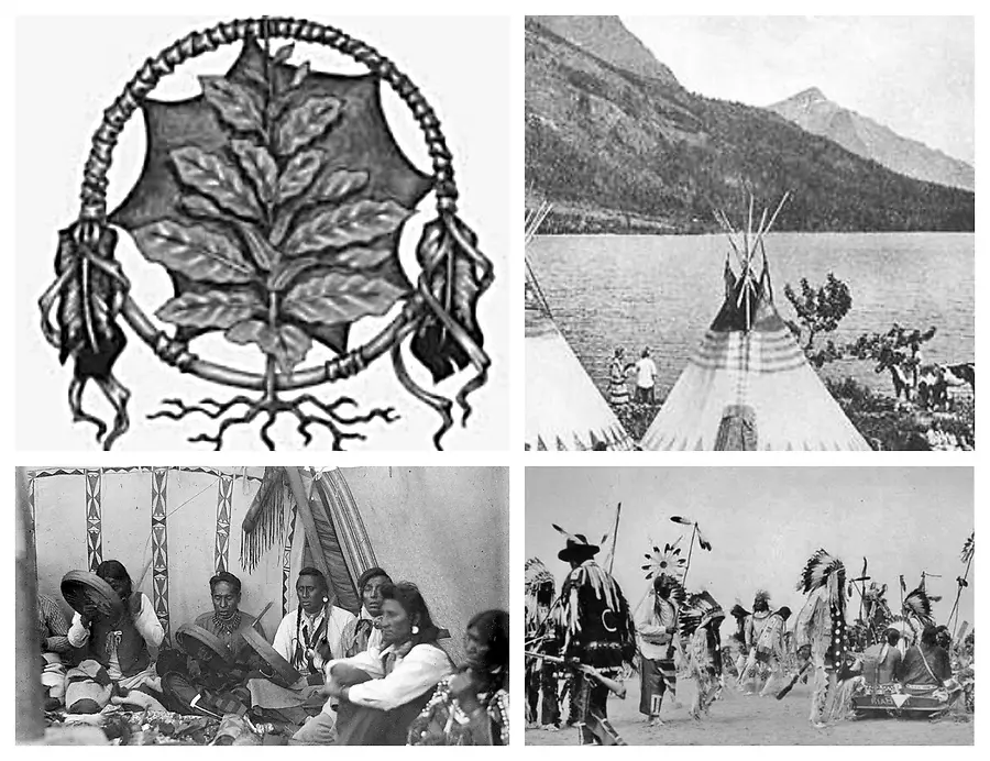 Our Sacred Leaf Chapter 18 Sacred Wisdom of the Ancient Grandmothers