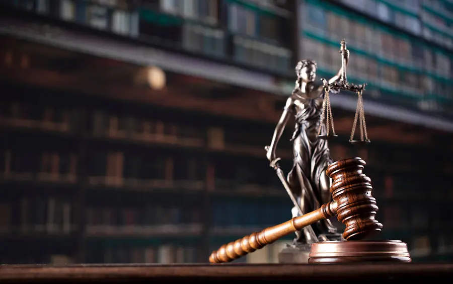 Lead Before You Have the Title: How Law Students Can Turn Unmet Needs into Community and Career Opportunities