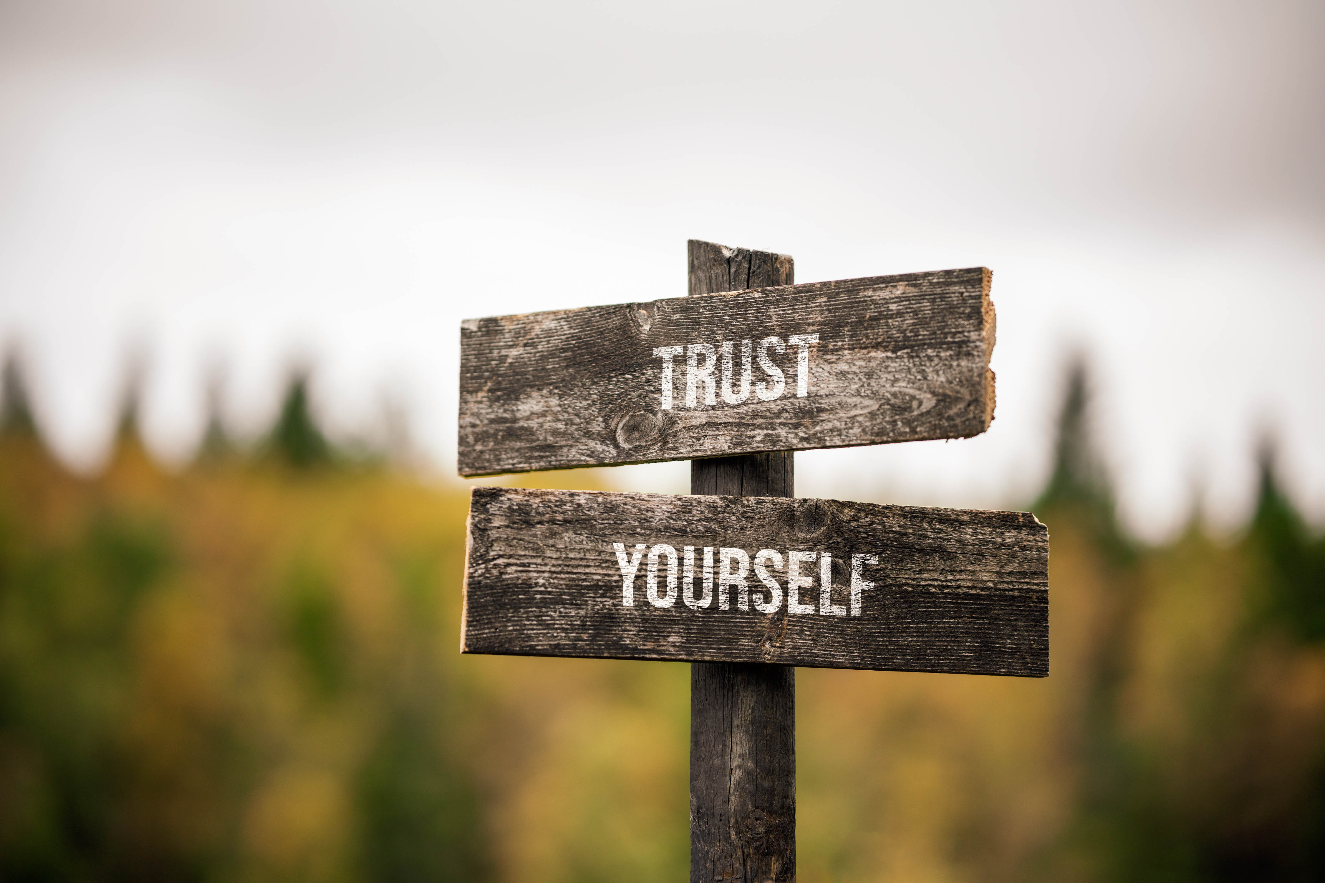 Stay true to yourself, believe in yourself, speak up and don't be afraid to take a seat at the table.