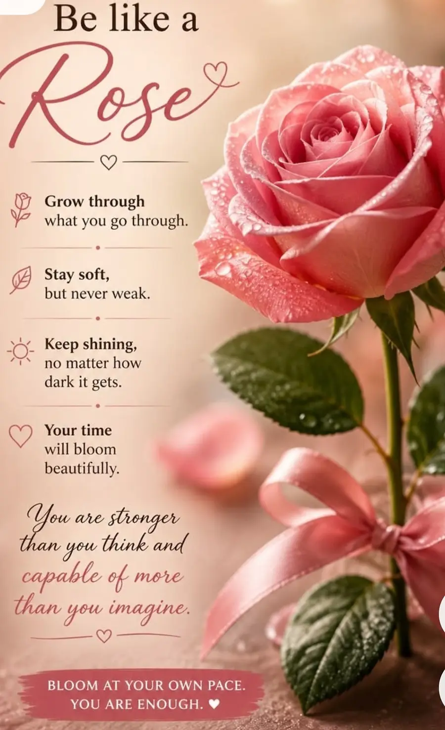 Bloom At Your Own Pace