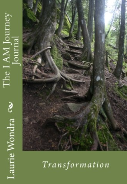 The IAM Journey Journal cover