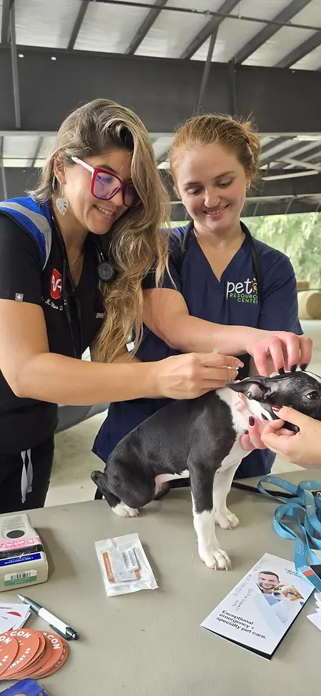 Pet Resource Canter and Hillsborough County Free Massive Vaccination