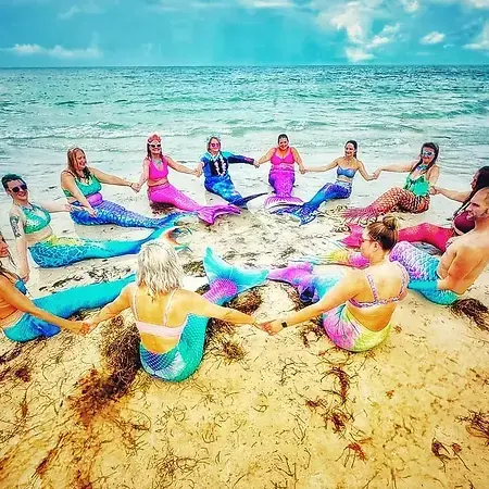 Behind the scenes, this dental professional turned mermaid is on a mission is caring for smiles in new ways while protecting our Gulf Coast waters with purpose. 🧜‍♀️💙 Even after stepping away from the operatory I’m still fighting for healthier people, cleaner coasts, and a community that believes in doing better on every shore.
