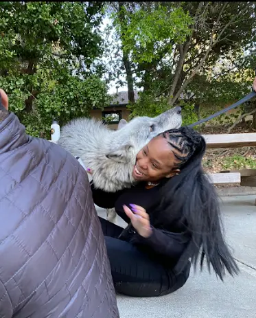 An unforgettable encounter with Riggs, a beautiful wolf 🐺
A reminder that the most powerful experiences come from connection, presence, and a little bit of wild.