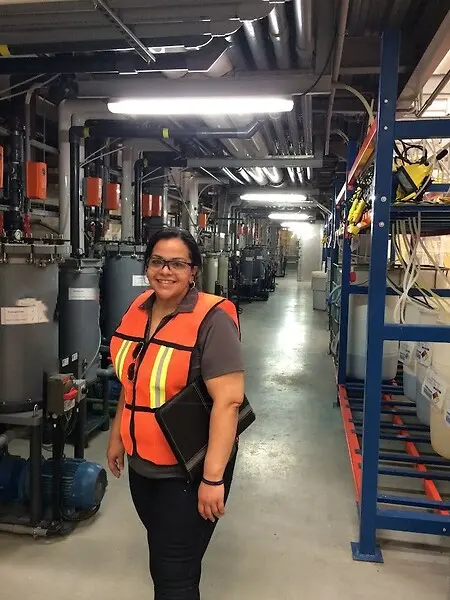 Technical Consulting on a Plating Line