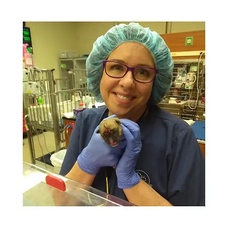 This photo was taken after my team and I had just delivered 10 puppies via emergency c-section. This little baby was born with a shallow defect in her skull that had to be sutured shut, and she was subsequently placed in the ICU for monitoring. Little did I know that this event would equip me to then deliver 8 healthy puppies over a FaceTime call, several months later!