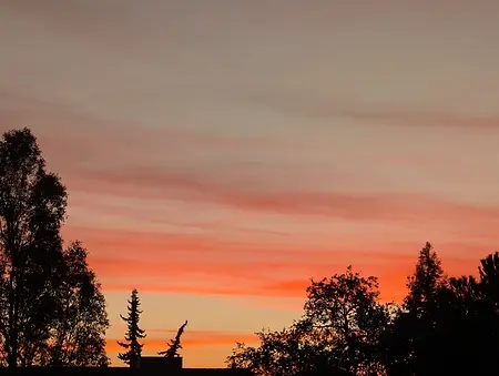 Sometimes my morning walks have a beautiful sunrise. It's the little things that add up!