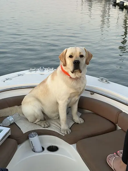 Coast, our office manager, is the light of my life (after my children of course). We spend countless hours on the water while I move toward getting my captain's license. 