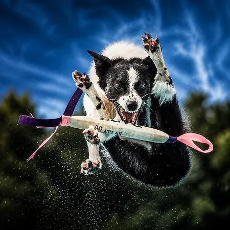 Launching CLE Goose Girl felt just like this — airborne, fearless, and chasing purpose with everything I’ve got.