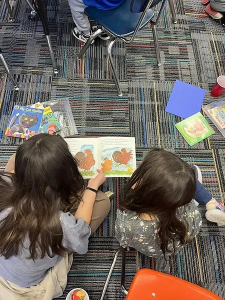 I've created a partnership with Los Ranchos Elementary, a school just down the road from Sandia Prep.  I started with 10-15 students from my Helping Hands community service club, students worked with 3rd graders in reading literacy and math skills.  This program has now grown into 70 of my students visiting Los Ranchos once or twice per month serving students in 3rd, 4th, and 5th grade.