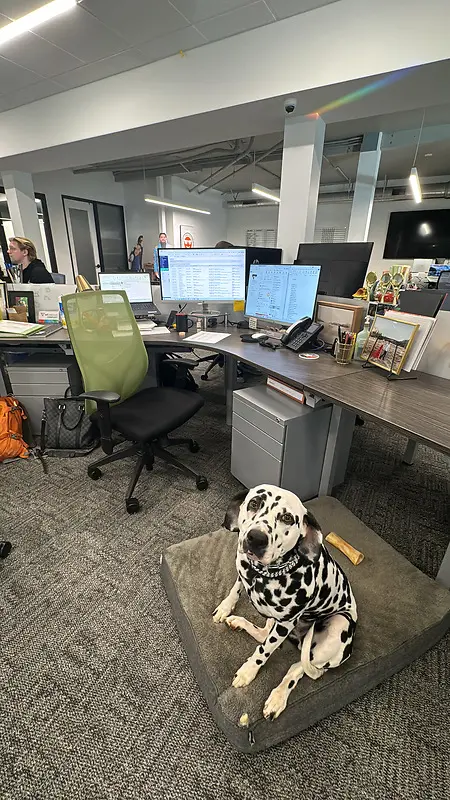 Office days with my girl, Cashmere! 