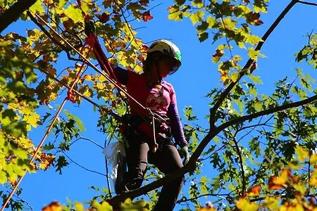 Canopy Science In Action